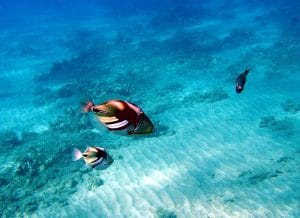 Makena Kayaking